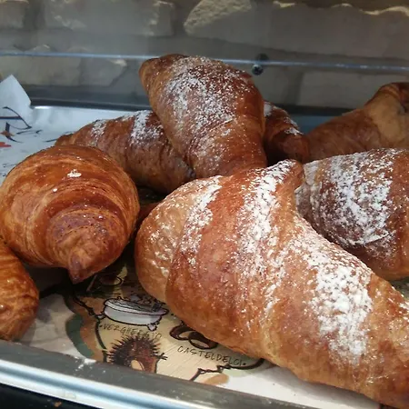 Romagna カットーリカ